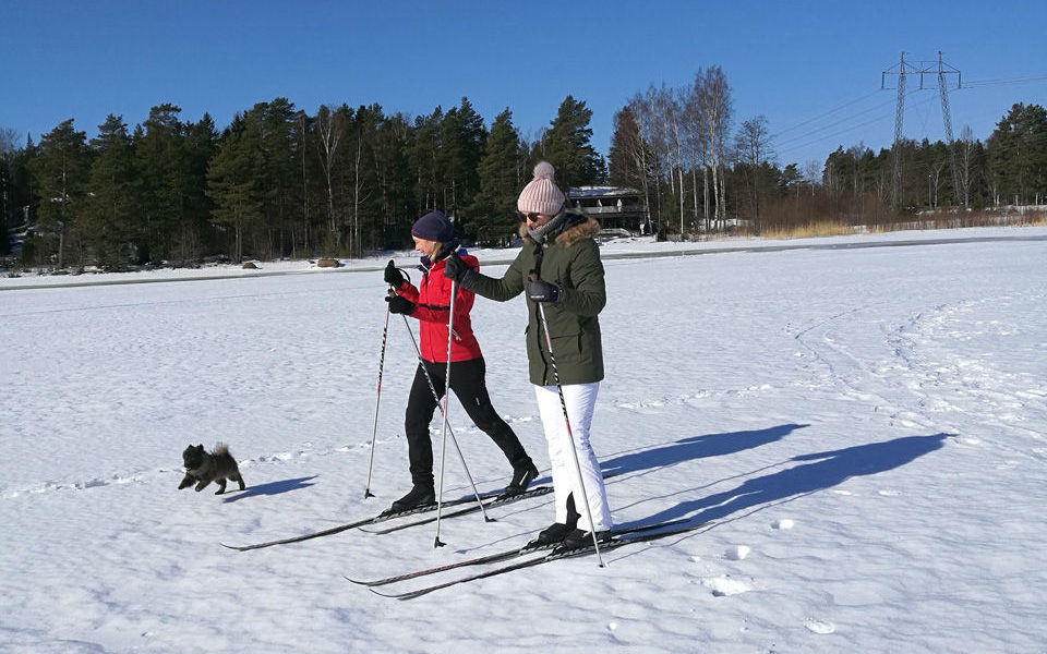 Hiihto koiran kanssa meren jäällä - Santalahti Resort - Kotka Finland