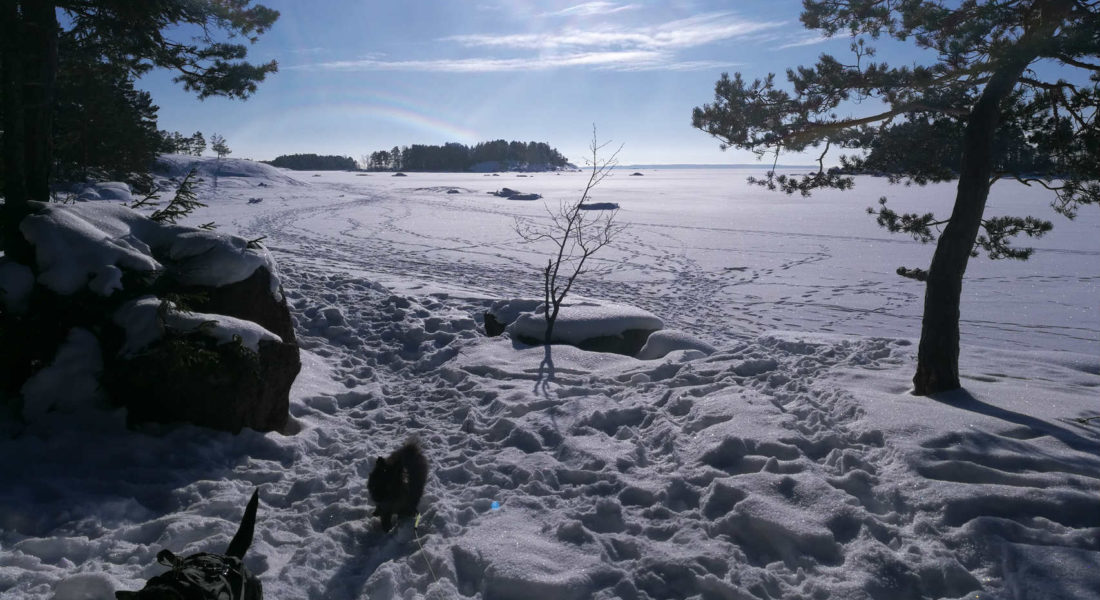 Luontopolut talvella, meri jäässä ja lumi maassa - Santalahti Resort - Kotka Finland