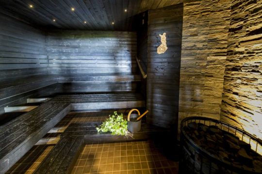 VIP sauna