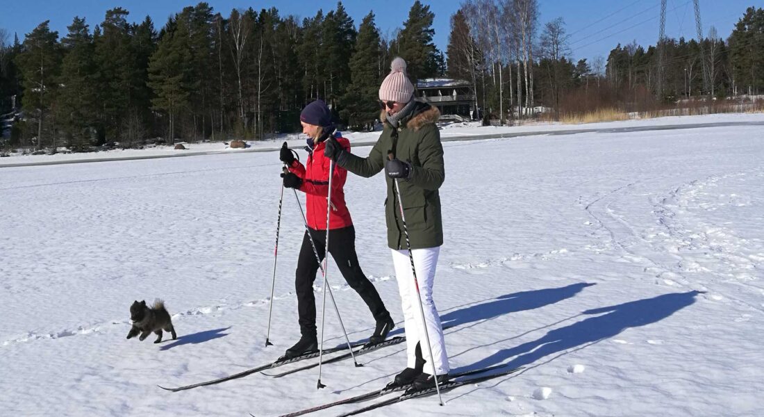 Hiihtäjät ja koira meren jäällä auringon paisteessa - Santalahti Resort - Kotka Finland